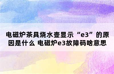 电磁炉茶具烧水壶显示“e3”的原因是什么 电磁炉e3故障码啥意思